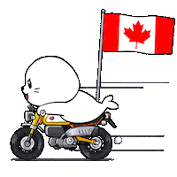 Canadian Football Sticker by Sappy Seals