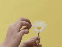 Flower Love GIF by Stephanie Poetri