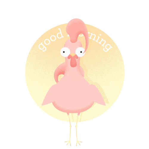 rorymcmanus animation illustration animated good morning GIF