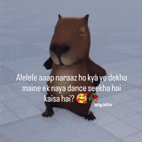 Dont Be Angry GIF