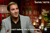 bachelor love GIF by The Bachelorette Australia