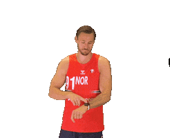 Norway Beachhandball Sticker by Norges Håndballforbund