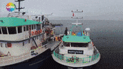 Ismail Demirci GIF by Show TV