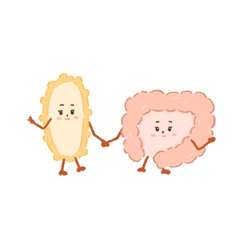 17beautyhouse probiotic probiotics allergies digestion Sticker