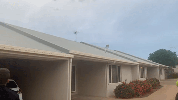 Australians Shocked as Kangaroo Hops Along Housing Complex Roof