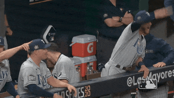 Excited Major League Baseball GIF by MLB