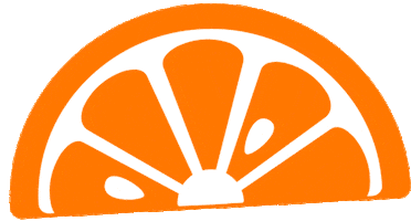 Orange Fruit Sticker by Ateliercologne