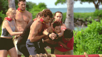 australia GIF by Australian Survivor