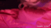 Valentines Day Reaction GIF by Yandy.com