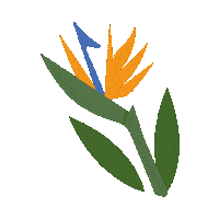 Bird Of Paradise Travel Sticker by Kew Gardens