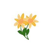 Flowers Flores Sticker by memofix