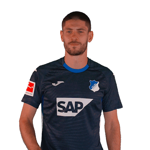 Andrej Kramaric Sport Sticker by TSG Hoffenheim