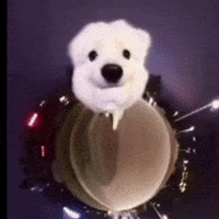 Cute Dog GIF by Respective