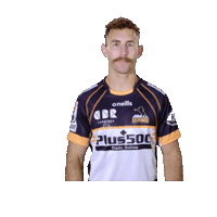 Rugby Brumby Sticker by BrumbiesRugby