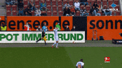 Happy Fun GIF by MolaTV