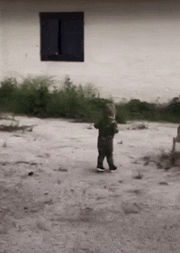 GIF by Martin