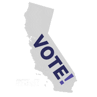 Vote Voting Sticker by Spectrum News NY1