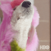 Dogs GIF by HBO