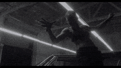 subpoprecords sub pop subpop daveed diggs clipping GIF