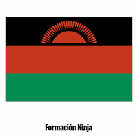 Flag Bandera GIF by Formación Ninja