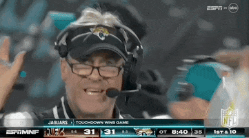 National Football League GIF by NFL