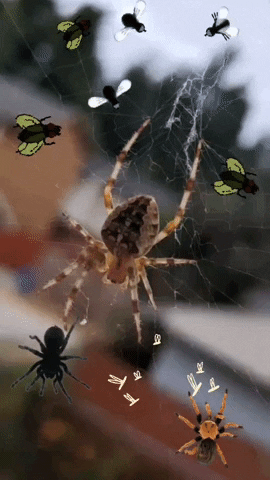 John Sullivan Halloween GIF