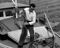 humphrey bogart lol GIF by Warner Archive