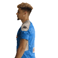 Serie A Football Sticker by SSC NAPOLI