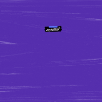 Checkthisout GIF by Social Nation