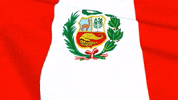 Peru Peruvian GIF