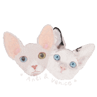Eun Sticker