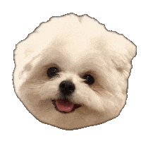 Dog 犬 Sticker