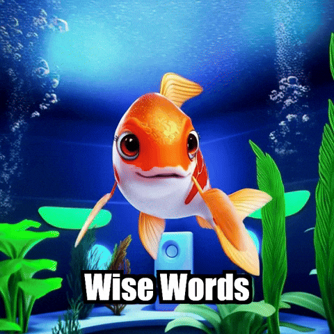 Koi Fish Podcast GIF by TheConfishius