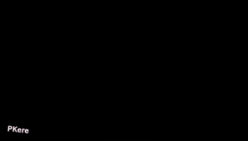 Night Camping GIF