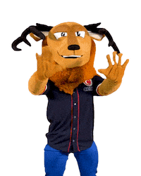 Mexico Sticker by CERT