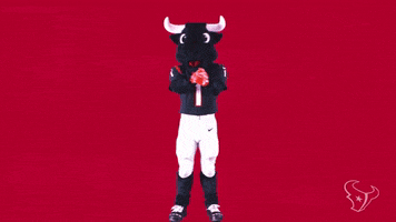 Mascot Toro GIF by Houston Texans