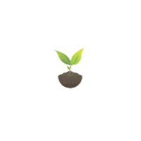 sementescerquinha plant seeds sementes cerquinha Sticker