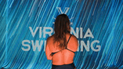 Uvaswimdive27 GIF by Virginia Athletics