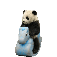 panda STICKER by imoji