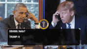 donald trump mexico GIF by Team Coco