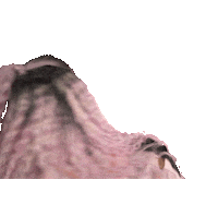 Drag Queen What Sticker by Sony Music Brasil