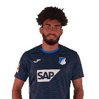 Kevin Akpoguma Sport Sticker by TSG Hoffenheim
