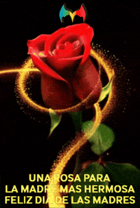 Rosa Amigas GIF by Murcianys LLC