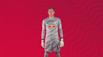 The Wall No GIF by RB Leipzig