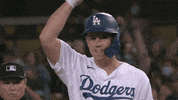 Los Angeles Sport GIF by MLB