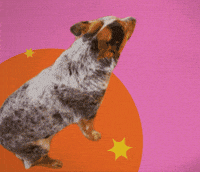 How U Doin GIF by GIPHY Studios 2022