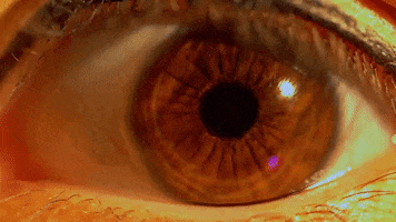 Eye Linda GIF by BIXOproduction