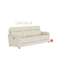 Lincoln Sticker by HomesToLife