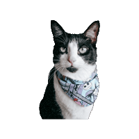 Nmbc Sticker by Geekster Pets