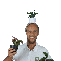 plantsome green plant plants circus Sticker